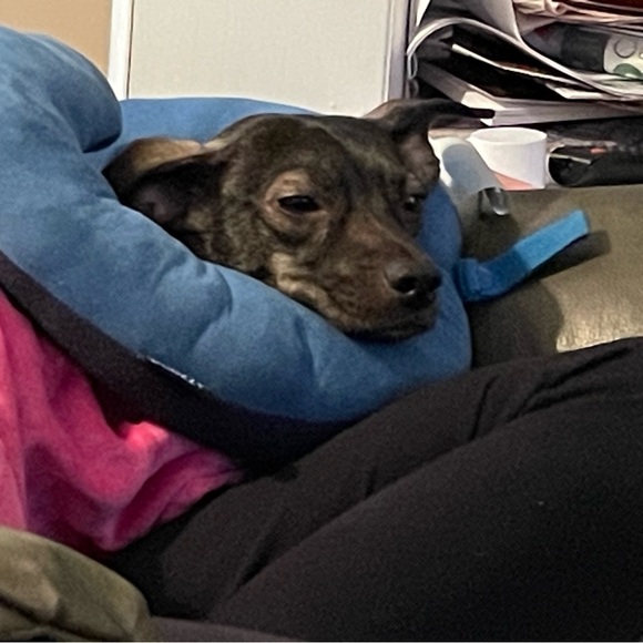 Share Show Notifications ☕️ ☀️ 🫶 - Picture 5 of 7